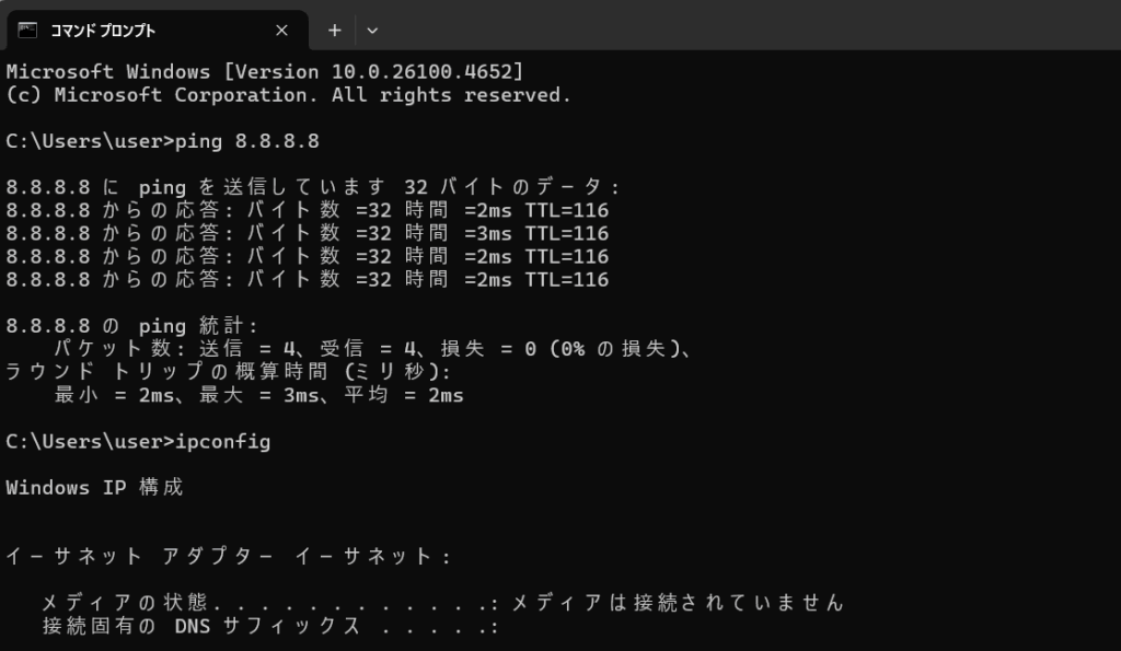 ping/ipconfig解説